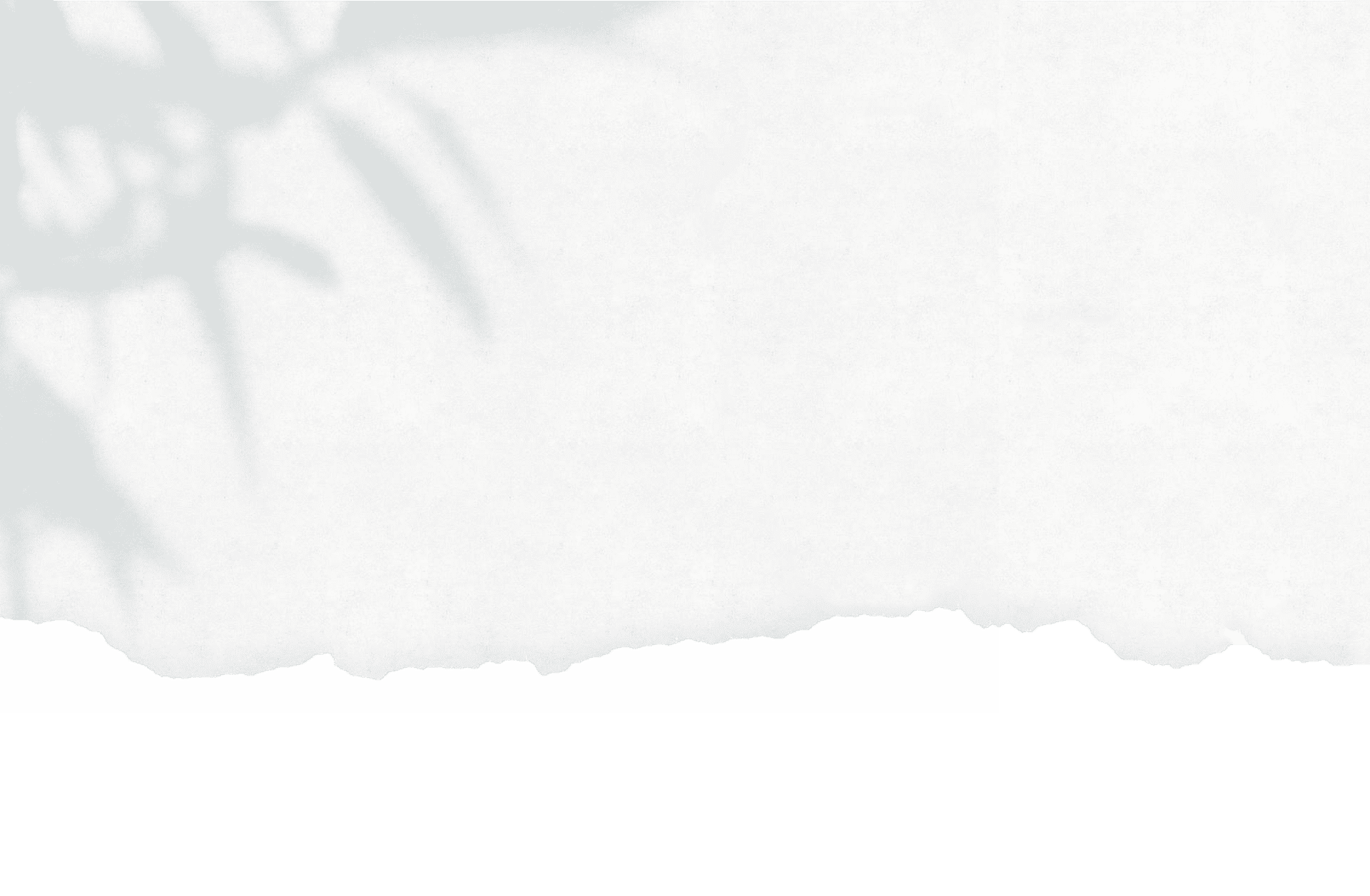 background_header