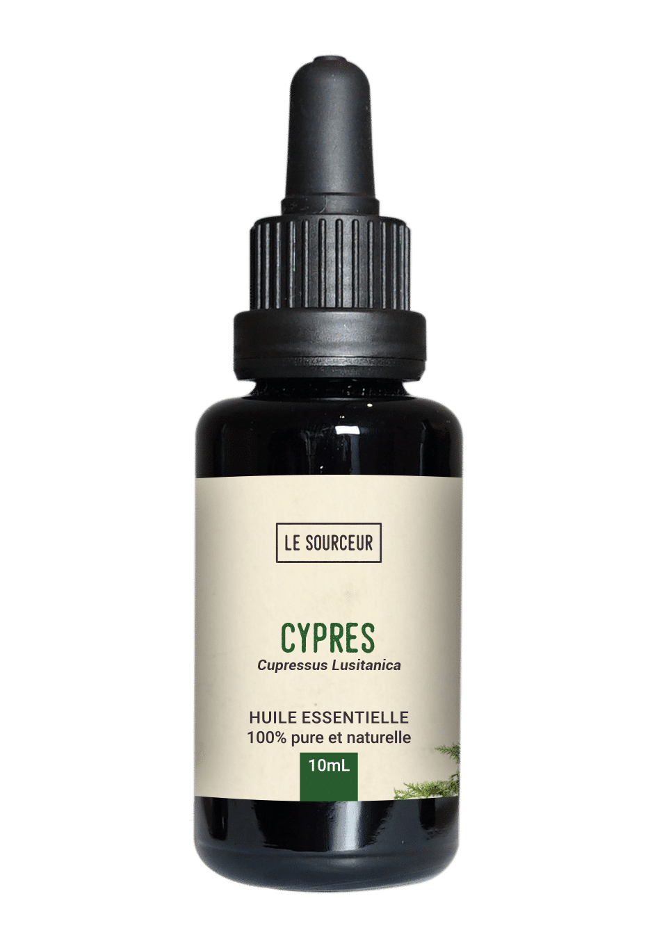 Bottle of essential oil of Cypress