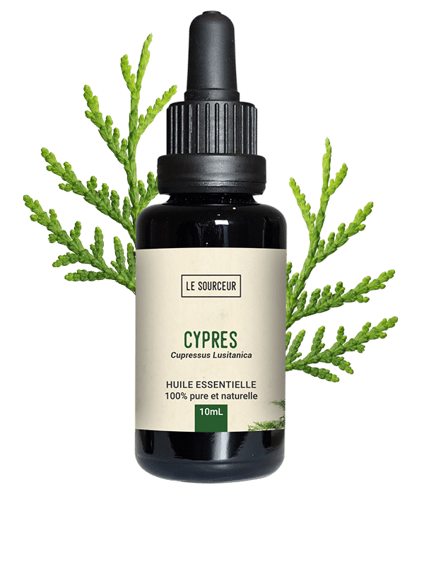 Bottle of essential oil with Cypress