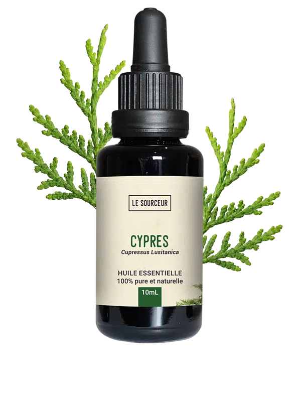 Bottle of essential oil with Cypress