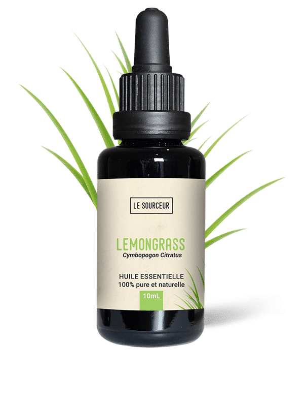Lemongrass Essential Oil (Cymbopogon Citratus) uses, properties
