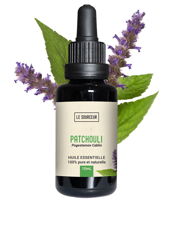 Huile Essentielle de Patchouli (Pogostemon Cablin) : propriétés