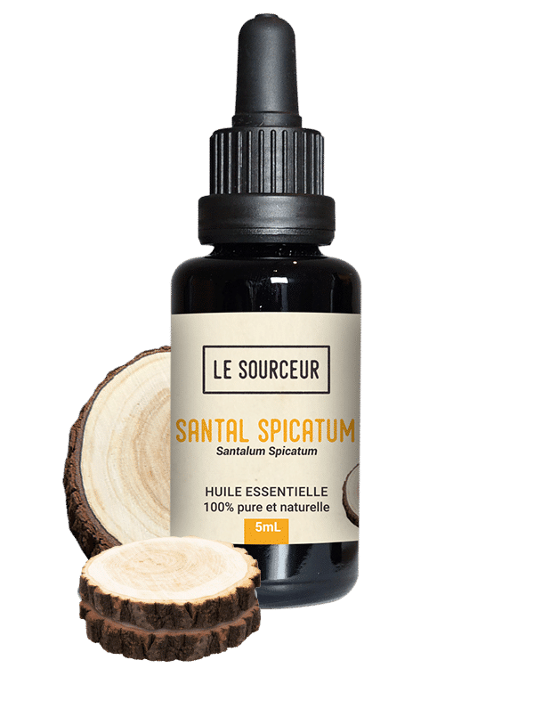 Bottle of essential oil of Sandalwood Spicatum with Sandalwood