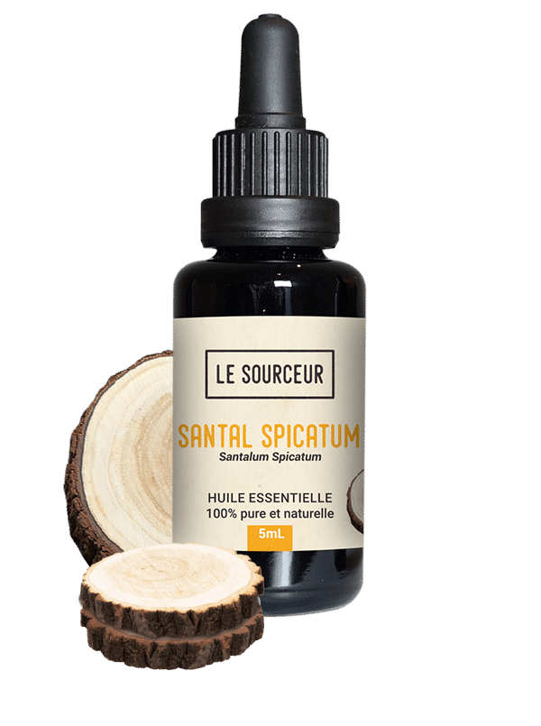 Flacon d'huile essentielle de Santal Spicatum avec du bois de Santal