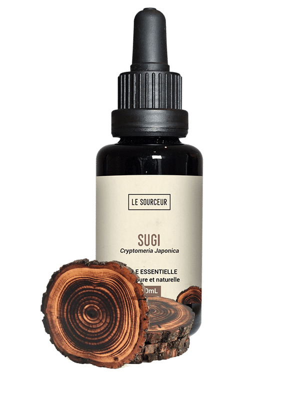 Flacon d'huile essentielle de Sugi et son bois