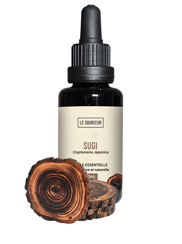 Bottle of essential oil of Sugi and its wood