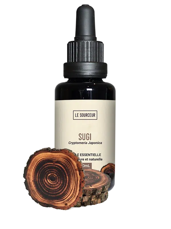 Flacon d'huile essentielle de Sugi et son bois