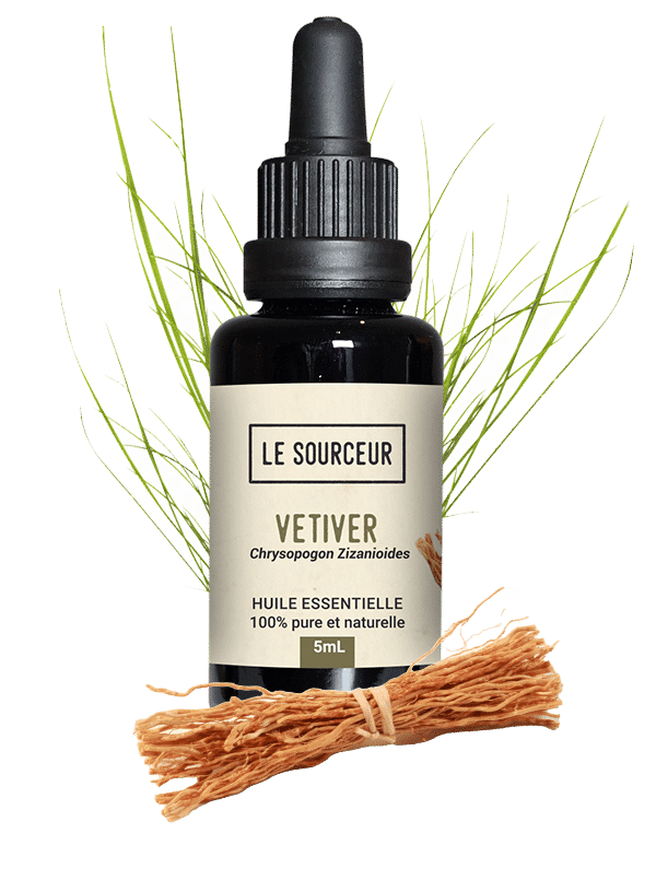 Bottle of Vetiver essential oil with its roots