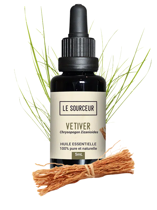 Bottle of Vetiver essential oil with its roots