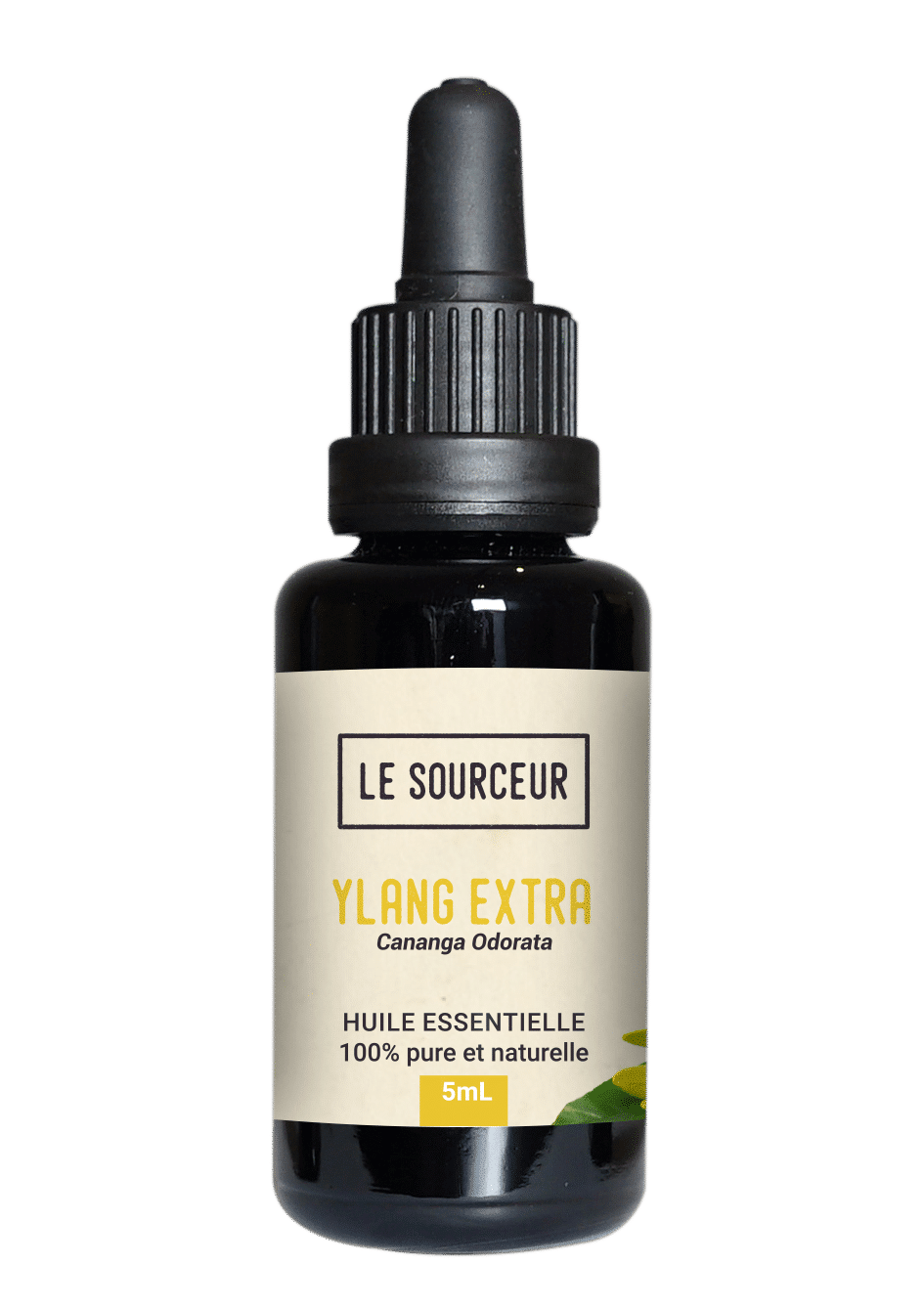 Huile essentielle d'ylang-ylang – Menaka, les huiles de la vie