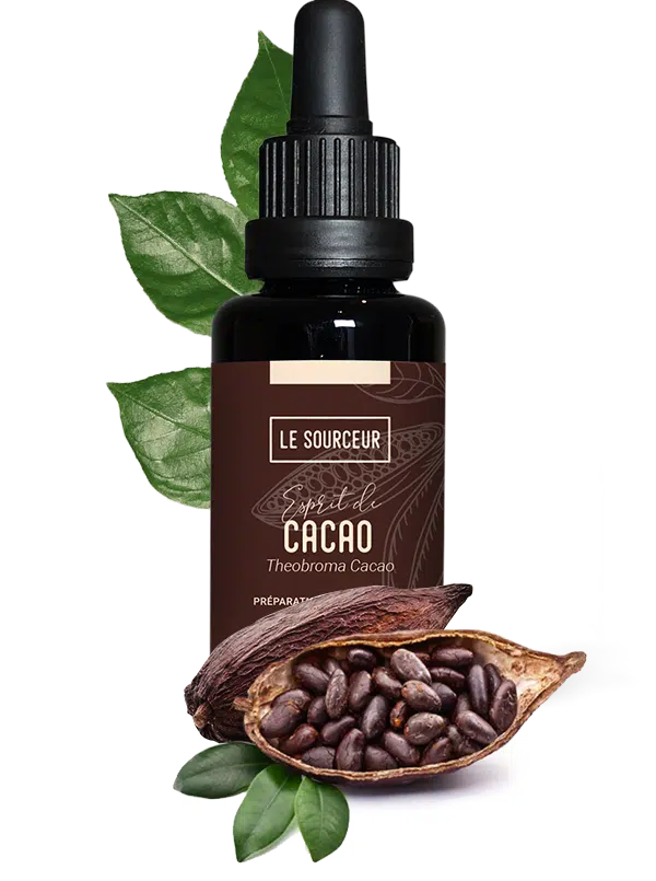 Cocoa alcoholate (Theobroma Cacao) properties and uses