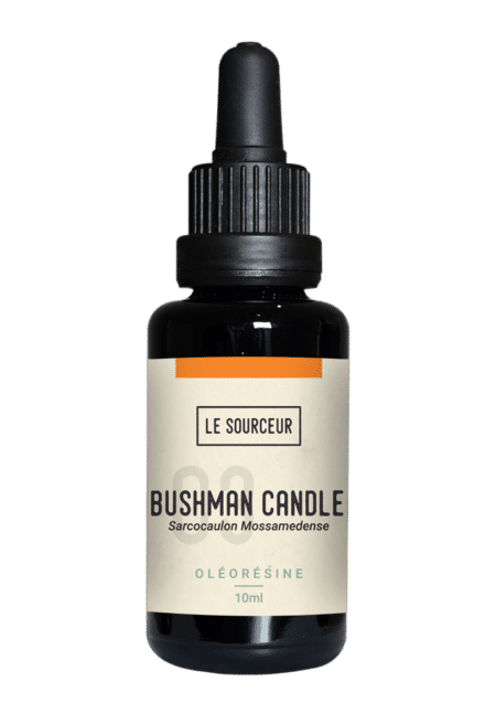Bushman Candle Essential Oil