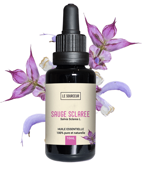 Huile Essentielle Sauge Sclarée (Salvia Sclarea) : propriétés