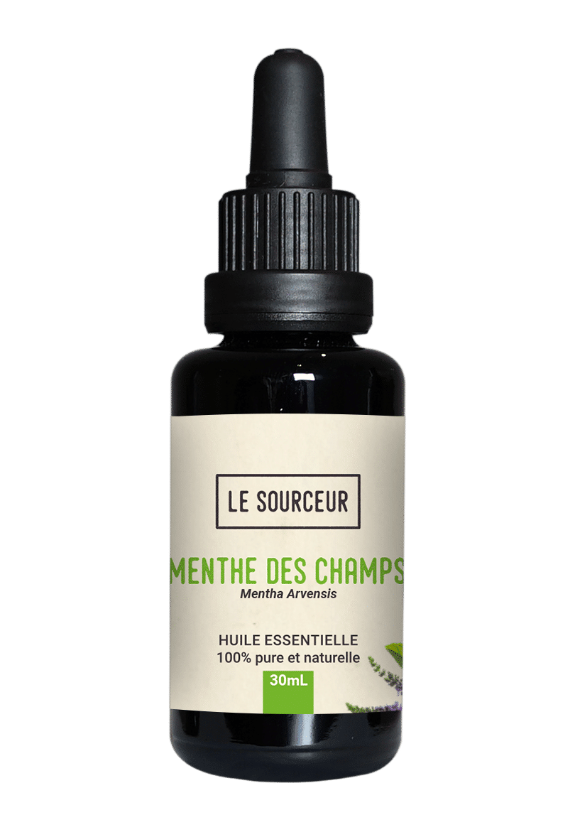 Flacon d'huile essentielle de Menthe des Champs