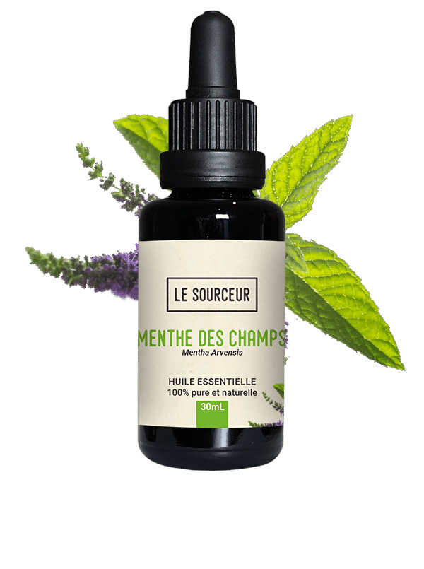 Flacon d'huile essentielle avec de la Menthe des Champs