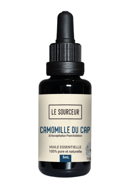 Bottle of Cape Chamomile Essential Oil