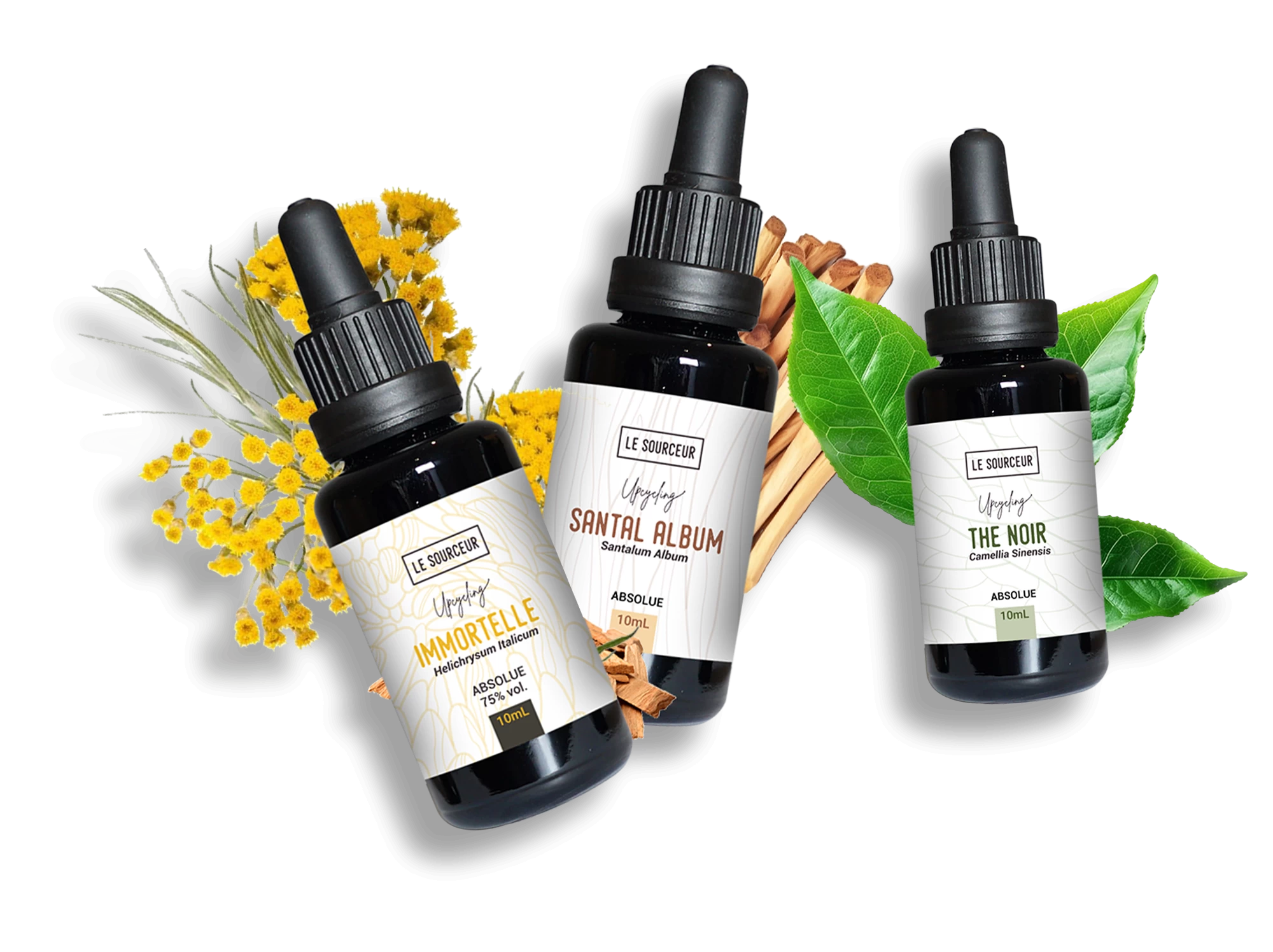 modèle-header-accueil-ns-produitdumois