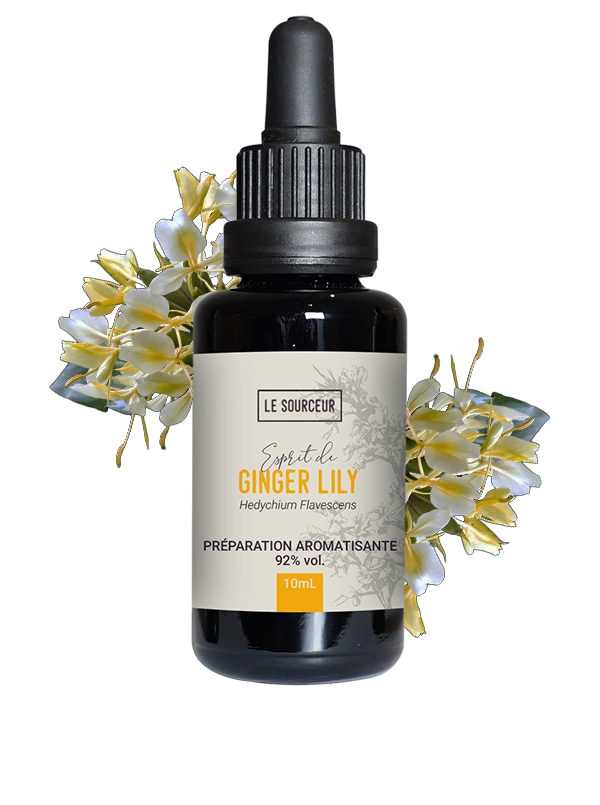 Ginger-Lily-LeSourceur-Produit