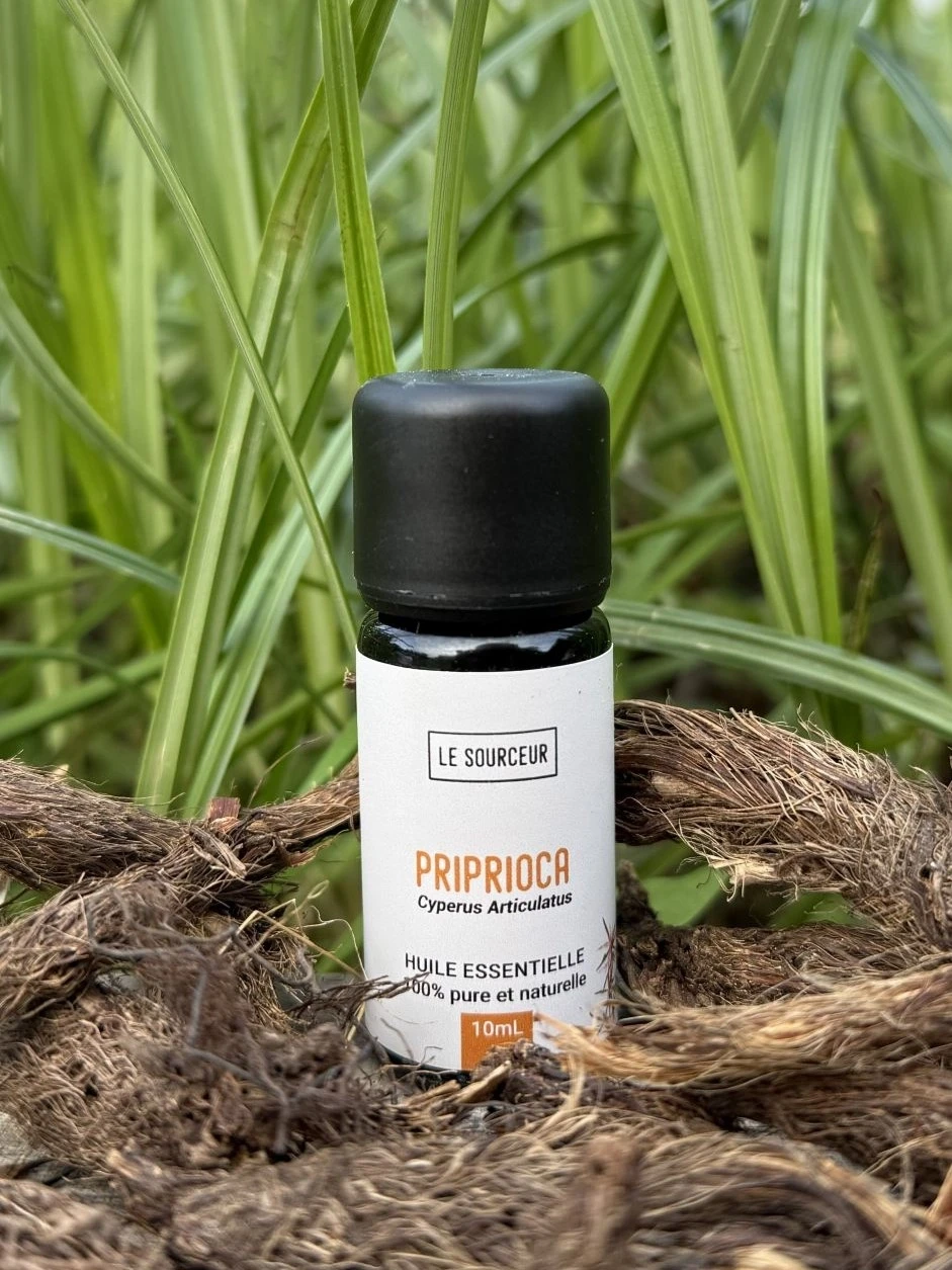 LeSourceur_Priprioca